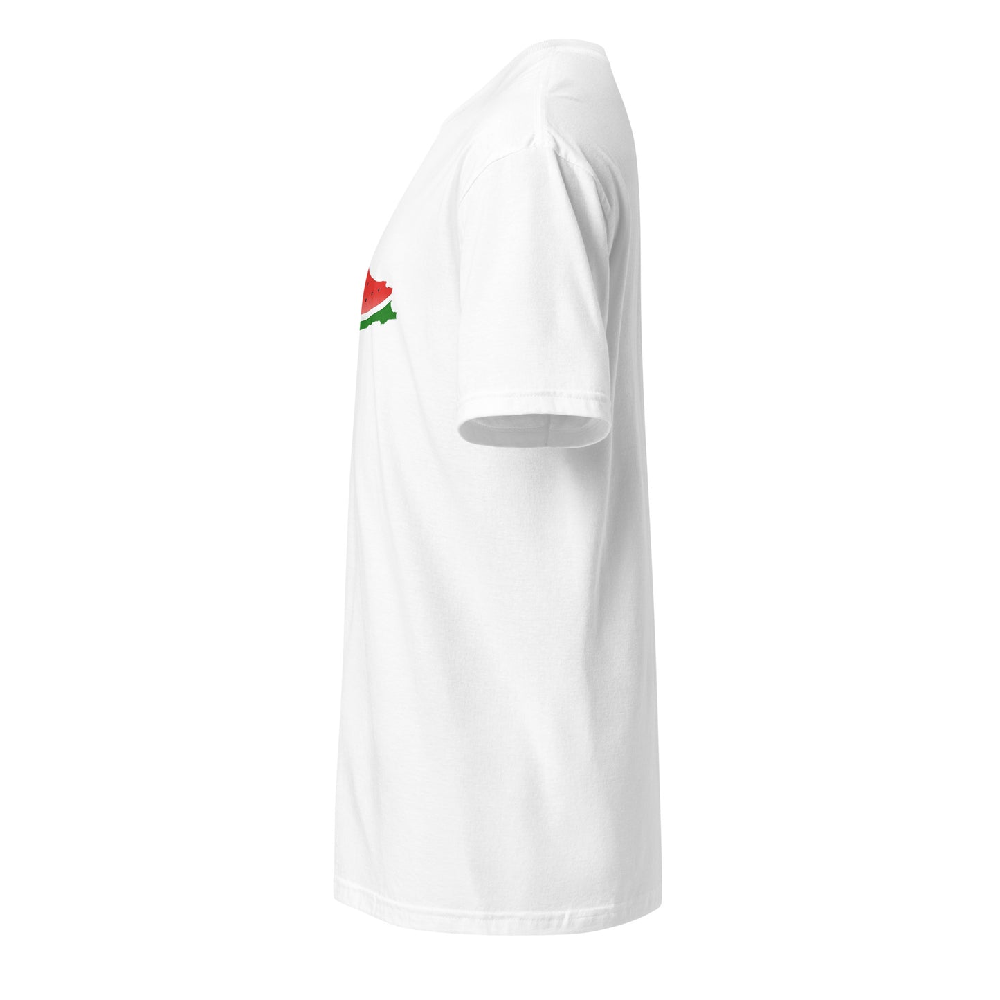 T-shirt Watermelon | #FREEPALESTINE (100% profits sont reversé à la Palestine) | 100% Coton - by AQL